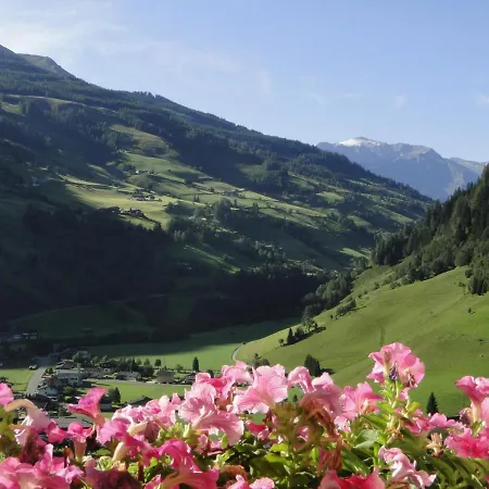 Lainer アパート *