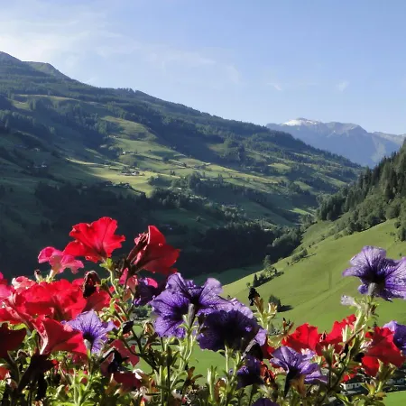 アパート Lainer *