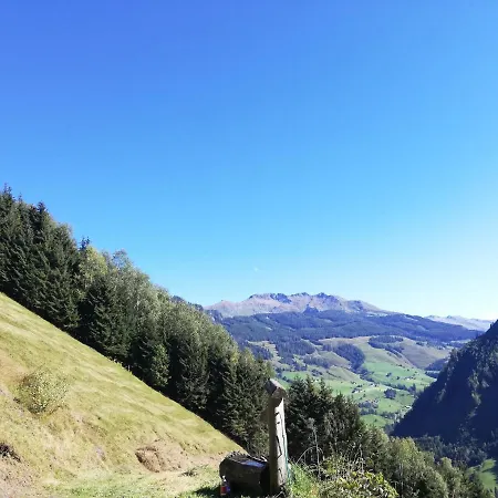 Lainer * Rauris