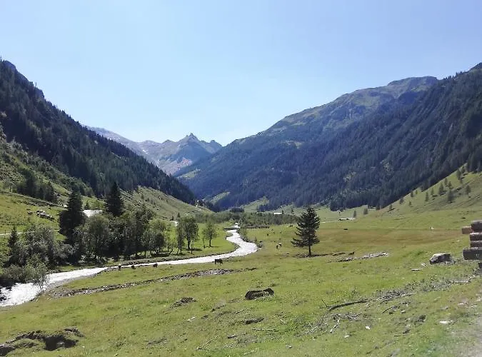 Апартаменты Lainer *