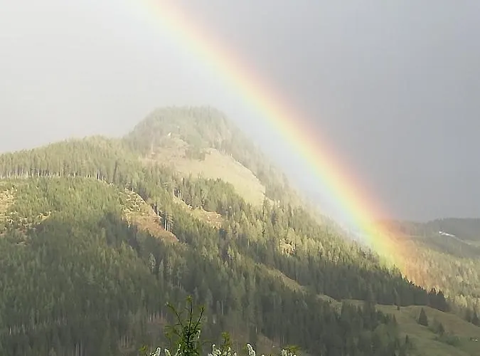 Lainer アパート ラウリス