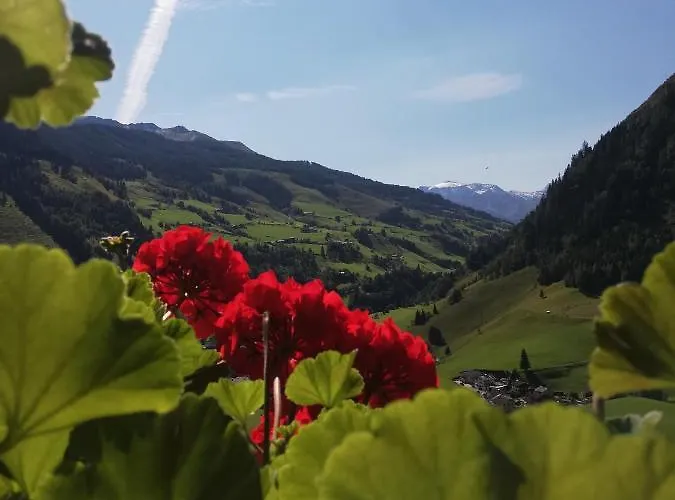 Апартаменты Lainer