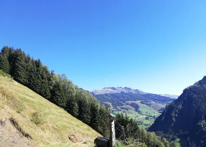 Lainer * Раурис